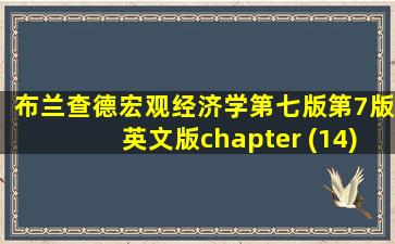 布兰查德宏观经济学第七版第7版英文版chapter (14)